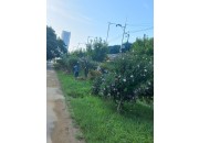 한국숲사랑총연합회에서 집중호우로 망가진 무궁화동산을 정비하였습니다(202…